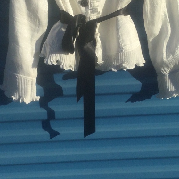 ADRIANNA PAPELL Evening Essentials Longsleeve Shimmering White Blouse,Size10 EUC - Picture 6 of 8